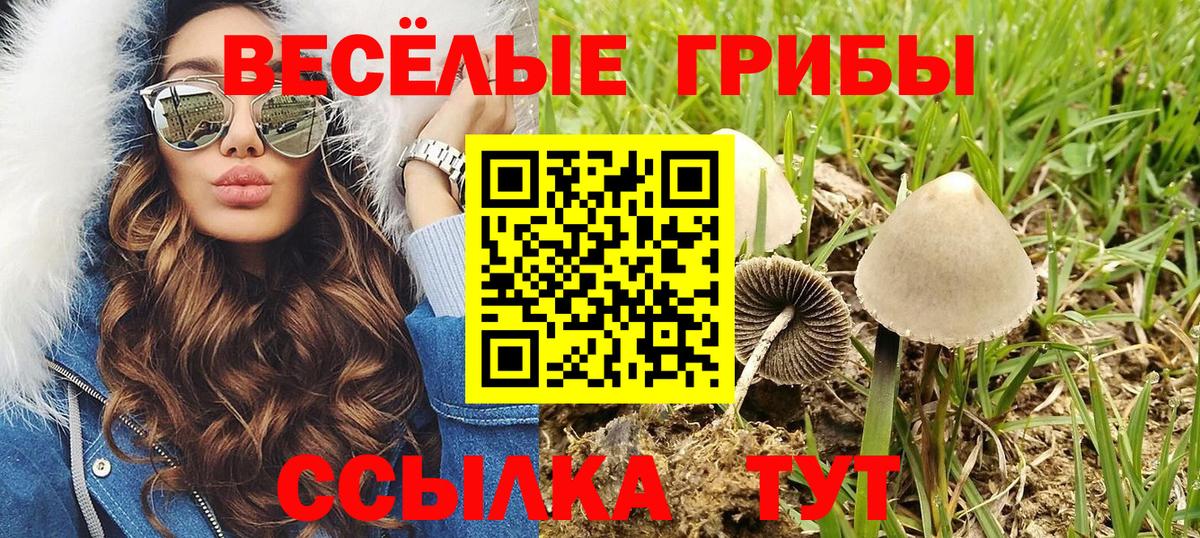 Туапсе  Галлюциногенные грибы Psilocybine cubensis  Вход с VPN  Галлюциногенные грибы прущие грибы 