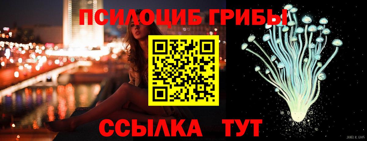 Псилоцибиновые грибы Cubensis Туапсе